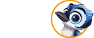PulseTV Savers Club